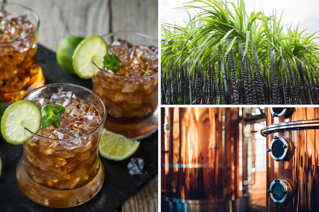 What is rum? Sugarcane field, copper pot still and a glass of rum and coke